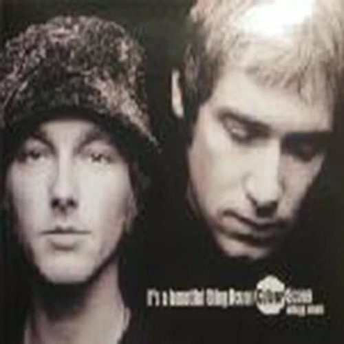 Ocean Colour Scene It's a beautiful thing (1998, & PP Arnold)  [Maxi-CD] - Bild 1 von 1