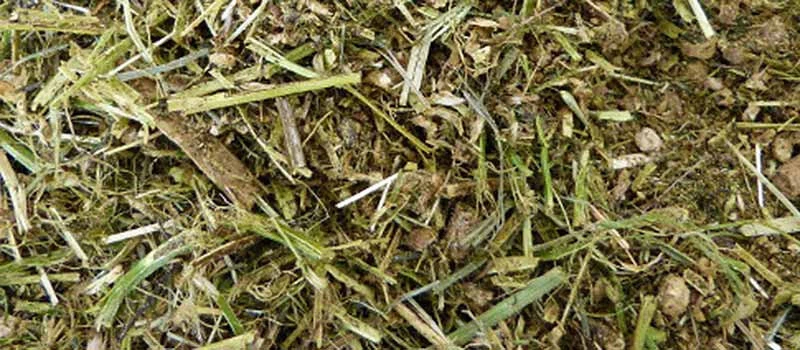 Holzner Luzerne Strukturmüsli Getreidefrei 15kg 1,19€/kg Müsli Pferdefutter - Bild 1 von 1