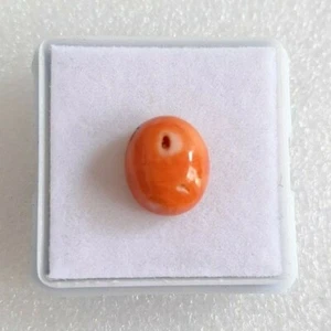Natural Japan's Sea coral cabochon Orange Precious mediternean Loose gemstone - Picture 1 of 6