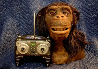 Imagen más nítida animatrónica remota chimpancé vivo WowWee  Foto 1 de 4