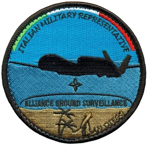 NATO DIRECTORATE of AERONAUTICAL ARMAMENTS & AIRWORTHINESS RQ-4 AGS PATCH - Picture 1 of 1
