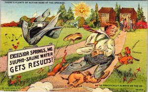 MO Excelsior Springs SULFO-SALZWASSER ~ PLUMPSKLO HUMOR Ray Walters? Postkarte - Bild 1 von 2