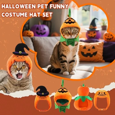 Cat And Dog Halloween Costumes, Halloween Pumpkin Hats, Adjustable Pet - Image 1 of 4