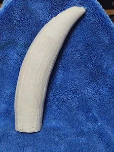   #4 Whale Tooth, Imitation polyurethane  Scrimshaw, Engraving,  - Picture 1 of 5