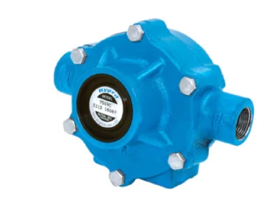 Bomba de 8 rolos Hypro ferro fundido, 3/4" NPT, 22,5 GPM - 7560C - Imagem 1 de 2