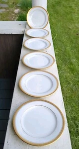 Juego de 6 platos de ensalada Noritake Goldridge 5480S blanco con borde incrustado dorado 8 1/4" - Imagen 1 de 10
