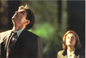 The X-Files 4 x 6 Photo Postcard 1995 Mulder/Scully Looking Up #2 NEW UNUSED - Picture 1 of 1