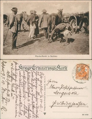 Ansichtskarte  Militaria - Pferdemarkt in Serbien 1918 - Bild 1 von 3