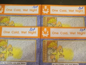 The Story Box One Cold Wet Night Konvolut 4 Leser 1. Klasse Lesekreis - Bild 1 von 8