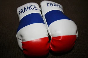 FRANCE / FRENCH FLAG Mini Boxing Gloves Ornament *BRAND NEW* - Picture 1 of 2