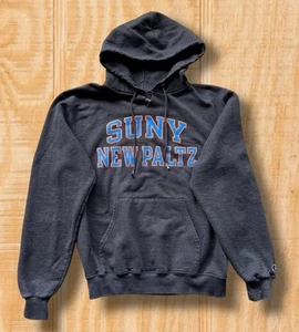 VINTAGE CHAMPION SUNY NEW PALTZ HAWKS MENS SMALL GRAY NCAA SWEAT SHIRT HOODIE - Picture 1 of 14