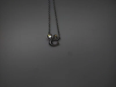 Collar de cadena colgante Coach para mujer C9447 plata firma racimo de cristal Foto 1 de 4