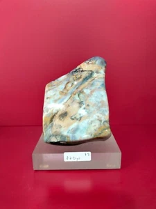 Rare beige brown opalized petrified wood polished with base 870gr 7x8x10cm (79) - Picture 1 of 9