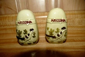 Vintage Arizona Salt & Pepper Shaker Set Roadrunner & Saquaro catcus, green - Picture 1 of 8