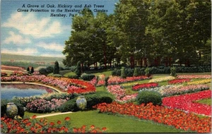 A Grove Of Oak Hickory And Ash Trees Gives Protection To The Hershey Rose Garden - Picture 1 of 4