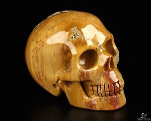 2,0 pouces bois pétrifié sculpté à la main crâne en cristal, réaliste, cristal de guérison