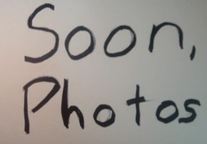 Regina Extra Oro Gold 6-Spd 14T-23T Road Freewheel NEW/NOS Splined- English++ - Picture 1 of 1