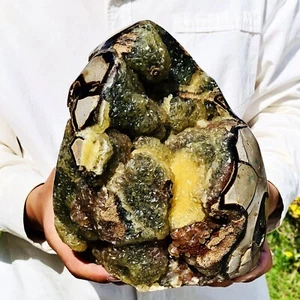 14.16LB Natural Turtle Back Stone Dragon Crystal Cave Crack Gem Healing - Picture 1 of 14