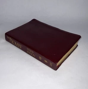 The Promise Study Edition, CEV, Nelson 3595 (Gen Bonded Leather, 1996, Thomas N) - Bild 1 von 7