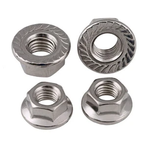 M3/4/5/6/8/10/12 Hexagon Serrated Flange Nuts Self-Lock Nut 201/304/316Stainless - Picture 1 of 8