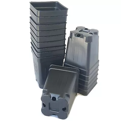 2.5 inch Square Deep Nursery Pot - SET OF 100 - {2.6" x 3.5"} plastic flower  - Image 1 of 4