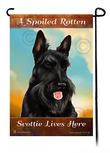 A Spoiled Rotten Black Scottie Lives Here - Imagen 1 de 1