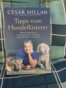 Tipps vom Hundeflüsterer von Cesar Millan - Bild 1 von 4