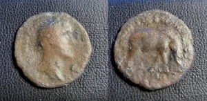 Elephant  /  Antoninus Pius Authentic Ancient Greek Roman Coin 72 - Picture 1 of 1