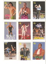 1990 Classic Titan Sports WWF WWE Wrestling Cards **PICK YOUR CARD!** C'mbd SHIP