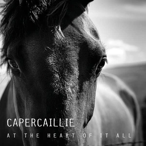 Capercaillie At the Heart of It All (CD) Album - Picture 1 of 1