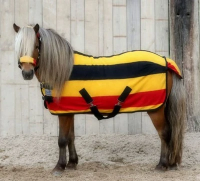 Abschwitzdecke + Halfter SET 60 70 80 90 100 110 Minishetty Mini Shetty Minipony - Bild 1 von 4