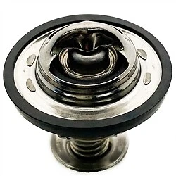 Termostato radiador BMW K Bikes 17111460716 / TERMOSTATO-716EDL Foto 1 de 1