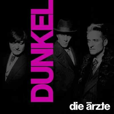 Die Ärzte / DUNKEL (LTD.Farbige 2LPBox IM SCHUBER MIT GIRLANDE) / Hot Action Re - Bild 1 von 2