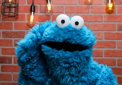 Marioneta de mano Cookie Monster (tamaño completo) Foto 1 de 4