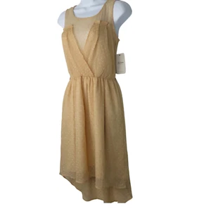 Vestido Zara Trafaluc Nuevo Talla S Rubor Melocotón Transparente Forrado Punteado Gasa Alto-Bajo - Imagen 1 de 12
