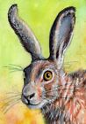 Original ACEO Hare, Green and yellow , rabbit  22-0226  watercolor  by s-lana