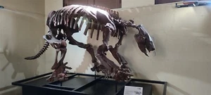 EXTINCT SCELIDODON GROUND SLOTH GLOSSY POSTER PICTURE PHOTO PRINT BANNER 10721 - Picture 1 of 1