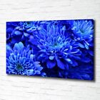 Leinwandbild Kunst-Druck 100x70 Bilder Blumen & Pflanzen Blaue Aster