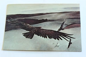 SOARING BY Andrew Wyeth Real Color Photo Webb Gallery Postcard - Picture 1 of 2