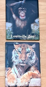 2 Louisville Zoo Fridge Magnets Tiger and Baby Chimpanzee - Picture 1 of 4