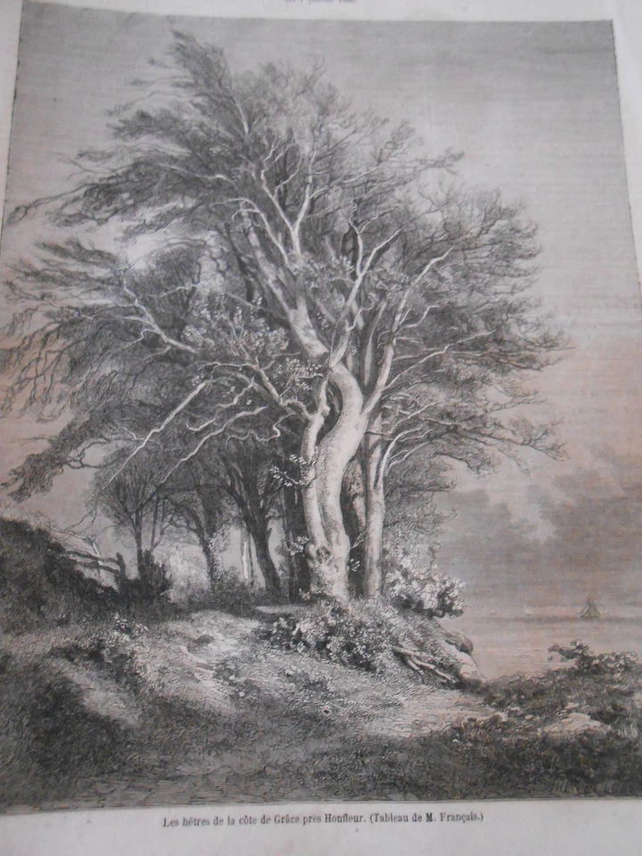 Gravure 1860 - Les Hêtres de la cote de Grâce Honfleur - Photo 1/1