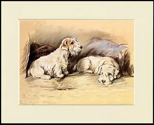 SEALYHAM TERRIER ZWEI HUNDE AUF SITZ SCHÖNER HUNDEDRUCK RAHMENFERTIG MONTIERT - Bild 1 von 1
