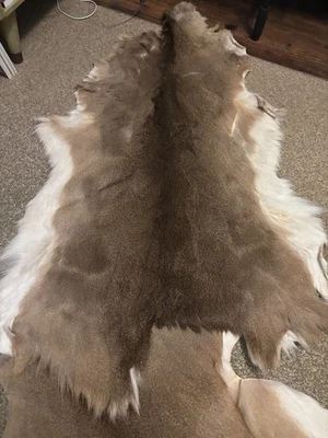 Alfombra de piel de ciervo pelo sobre piel de ciervo completa Foto 1 de 4