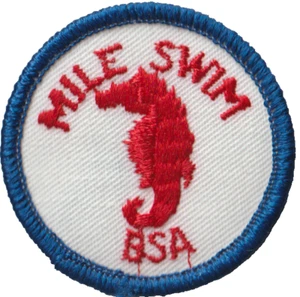 Scoust BSA Mile Swim Emblem Patch Blue Bdr (AR2924) - Picture 1 of 1