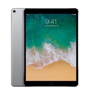 Apple iPad Pro 10.5" - Space Gray - WiFi + Cellular - 64GB - Brand New - Picture 1 of 1