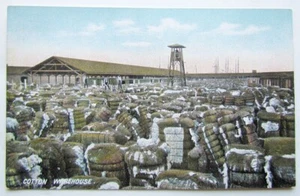 ANTIQUE POSTCARD COTTON WAREHOUSE - Picture 1 of 2
