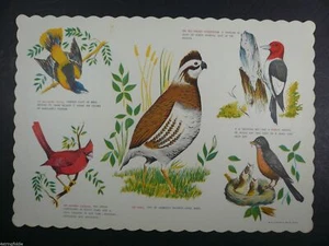 Tovaglietta vintage primi anni 60 BIRD'S OF THE MIDWEST carta ristorante 14" x 10" - Foto 1 di 1