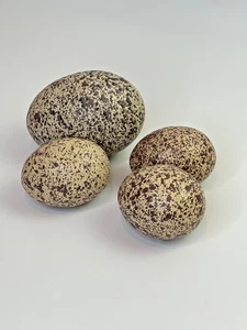 4 Speckled Pottery Eggs Beige Brown Speckled 5" and 3.5" Easter - Picture 1 of 3