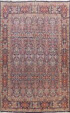 Vegetable Dye All-Over Vintage 10x13 Traditional Area Rug Wool Hand-Knotted