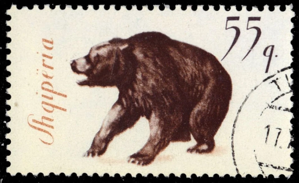 ALBÂNIA 890 - Urso marrom europeu "Ursus arctos" (pb68475) - Imagem 1 de 1